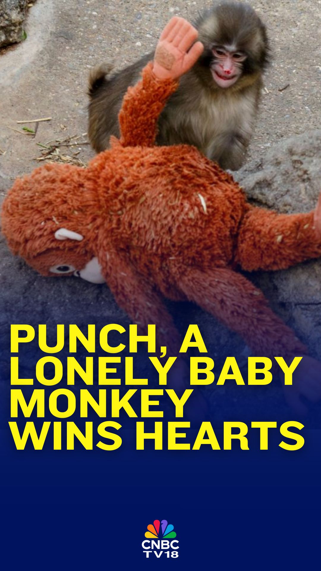 Ichikawa City Zoo & Botanical Garden: Your Ultimate Family Guide